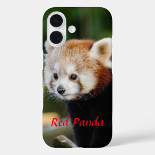 Red Panda Snowy Log Afbeelding iPhone 16 Hoesje