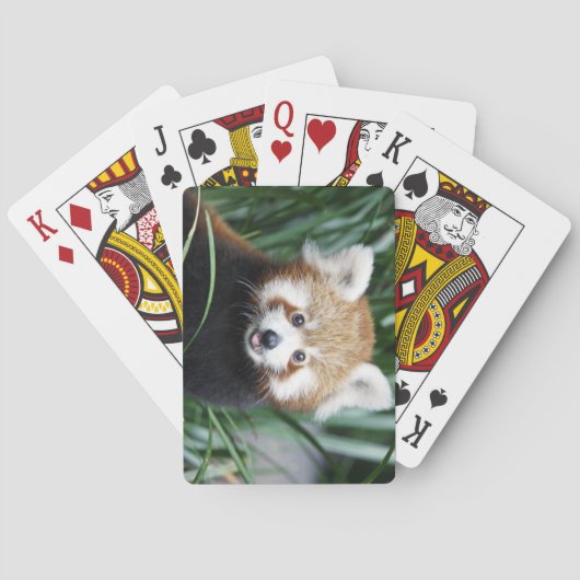 Red Panda-speelkaarten Pokerkaarten (Achterkant)