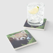 Red Panda Stenen Onderzetter (Zijkant)