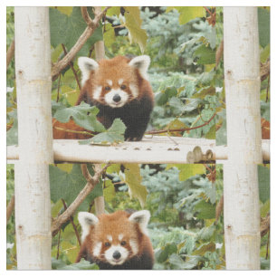 Red Panda Stof