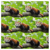 Red Panda Stof (Swatch)
