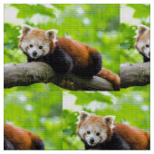 Red Panda Stof (Close Up)