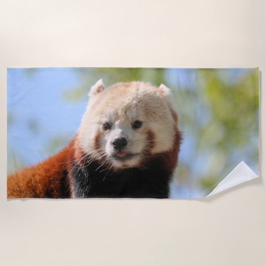 Red Panda Strandlaken (Voorkant)