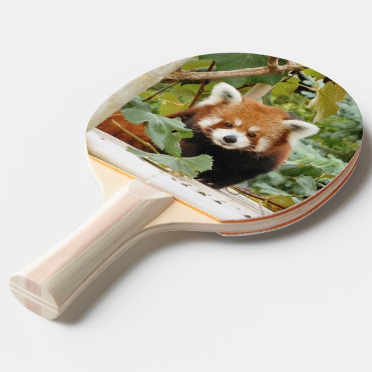 Red Panda Tafeltennisbatje (Achterkant Gekanteld)