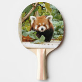 Red Panda Tafeltennisbatje (Voorkant)