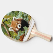 Red Panda Tafeltennisbatje (Zijkant)
