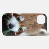 Red Panda, Taronga Zoo, Sydney, Australië Case-Mate iPhone Case (Achterkant (horizontaal))