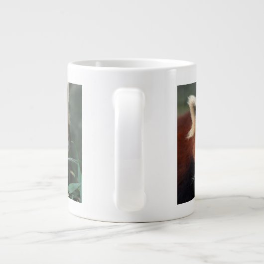 Red Panda, Taronga Zoo, Sydney, Australië Grote Koffiekop (Achterkant)