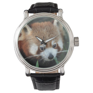 Red Panda, Taronga Zoo, Sydney, Australië Horloge