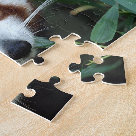 Red Panda, Taronga Zoo, Sydney, Australië Legpuzzel (Zijkant)