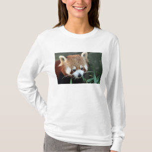 Red Panda, Taronga Zoo, Sydney, Australië T-shirt