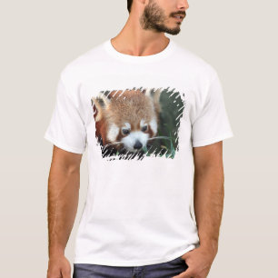 Red Panda, Taronga Zoo, Sydney, Australië T-shirt