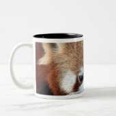 Red Panda, Taronga Zoo, Sydney, Australië Tweekleurige Koffiemok (Links)