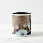 Red Panda, Taronga Zoo, Sydney, Australië Tweekleurige Koffiemok (Center)