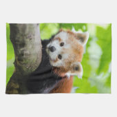 Red Panda Theedoek (Horizontaal)