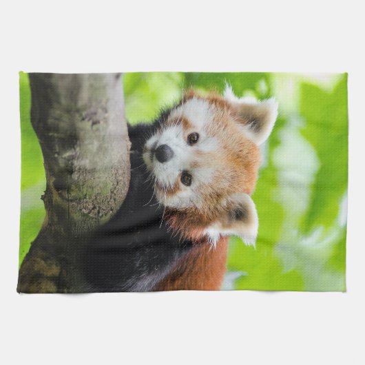 Red Panda Theedoek (Horizontaal)