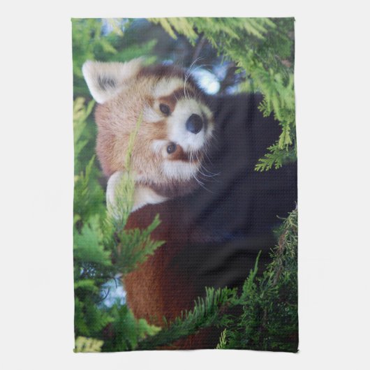 Red Panda Theedoek (Verticaal)