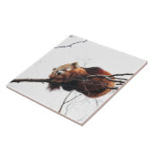 Red Panda Tile/Trivet Tegeltje (Zijkant)