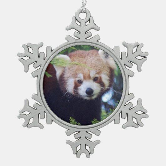 Red Panda Tin Sneeuwvlok Ornament (Voorkant)