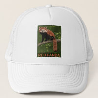 Red Panda