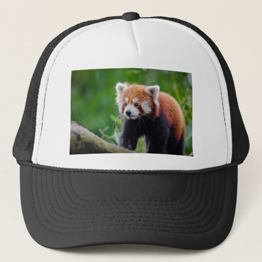 Red Panda Trucker Pet (Voorkant)