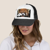 Red Panda Trucker Pet (In situ)
