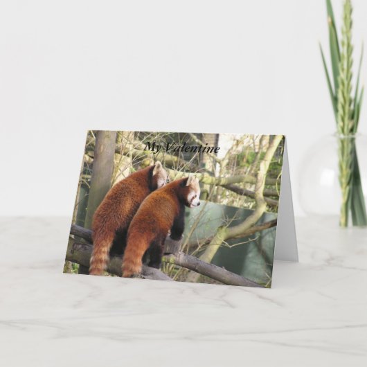 Red Panda Valentine Card Feestdagen Kaart (Voorkant)