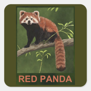 Red Panda Vierkante Sticker