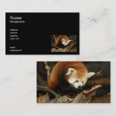 Red Panda Visitekaartje (Voorkant / Achterkant)