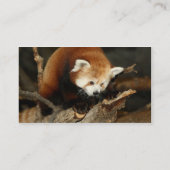 Red Panda Visitekaartje (Achterkant)
