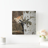 Red Panda Wall klok (Huis)
