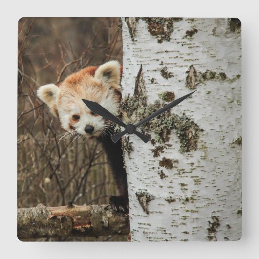 Red Panda Wall klok (Voorkant)