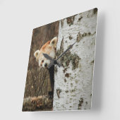 Red Panda Wall klok (Hoek)