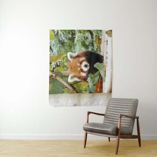 Red Panda Wandkleed (In situ)