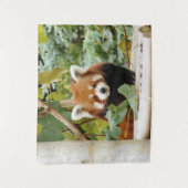Red Panda Wandkleed (Voorkant)