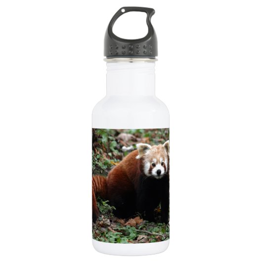 Red Panda Waterfles (Voorkant)