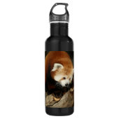 Red Panda Waterfles (Voorkant)