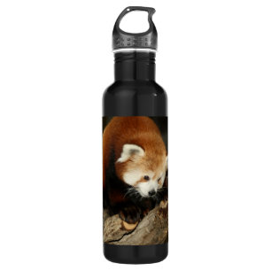 Red Panda Waterfles