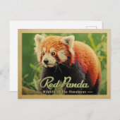 Red Panda - Wilde dieren uit de Himalaya Briefkaart (Voorkant / Achterkant)
