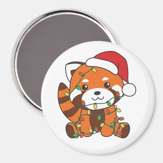 Red Panda Winter Animals Red Pandas Magn Magneet (Voorkant / Achterkant)
