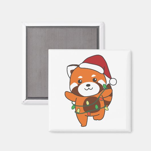 Red Panda Winter Animals Red Pandas Magn Magneet (Voorkant / Achterkant)