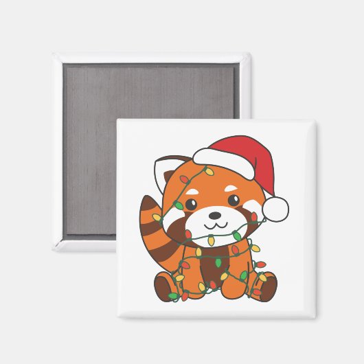 Red Panda Winter Animals Red Pandas Magn Magneet (Voorkant / Achterkant)