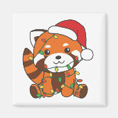Red Panda Winter Animals Red Pandas Magn Magneet (Voorkant)