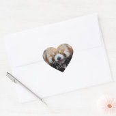 Red Panda - zeg kaas! Hart Sticker (Envelop)