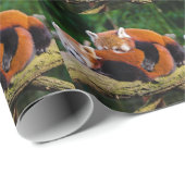 Red Pandas Cadeaupapier (Rol Hoek)