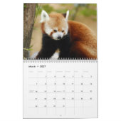 Red Pandas Calendar Kalender (Mar 2027)