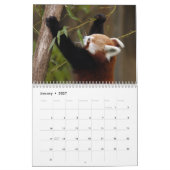 Red Pandas Calendar Kalender (Jan 2027)