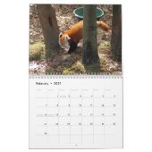 Red Pandas Calendar Kalender (Feb 2027)