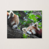 Red Pandas Legpuzzel (Horizontaal)