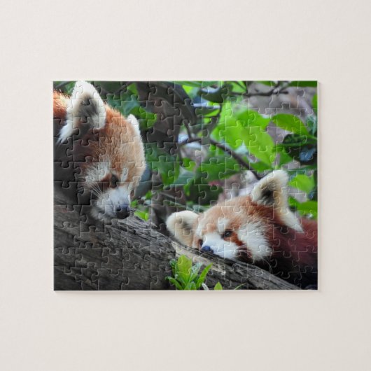 Red Pandas Legpuzzel (Horizontaal)